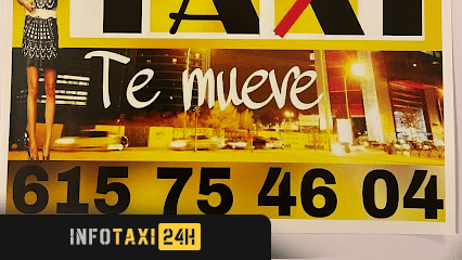 taxista Taxi Soria 615 75 46 04