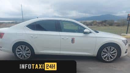 taxista Taxi Torremocha De Jarama