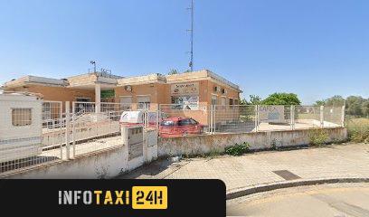 taxista Taxi Tour Granada
