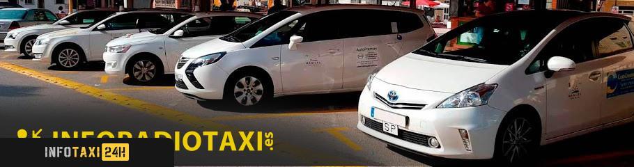 taxista Taxi Transfer Duquesa