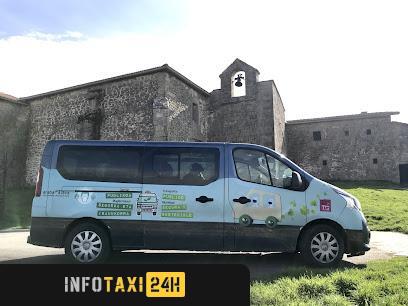 taxista Taxi Treviño