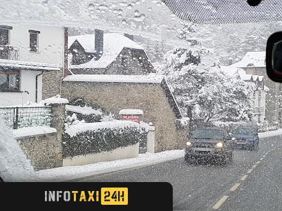 taxista Taxi Turístico Valle De Tena
