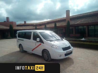 taxista Taxi Valdepeñas Gabriel Alhambra 9 Plazas