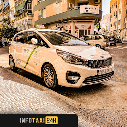 taxista Taxi Velez Malaga Fran Taxi 32
