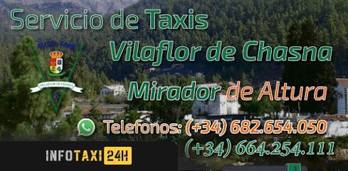 taxista Taxi Vilaflor Lm2
