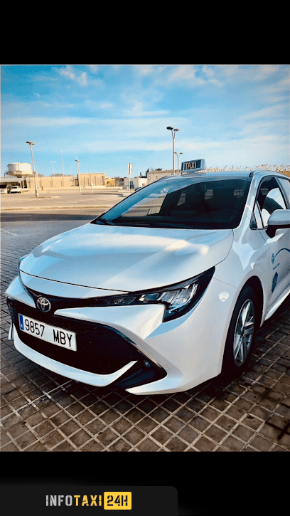 taxista Taxi Vilanova Pere Rovira
