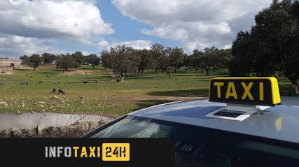 taxista Taxi Villanueva De Cordoba Javier Gallego