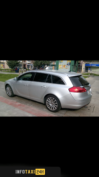 taxista Taxi Zigor Elgezabal