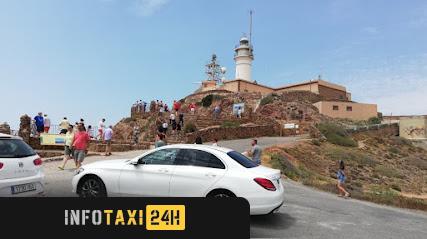 taxista Taxi Zurgena