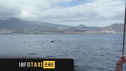 taxista Taxi