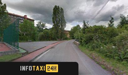 taxista Taxi larreina