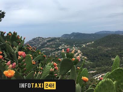 taxista Taxibegur Saïd