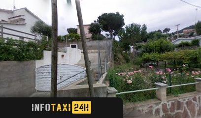taxista Taxibigues