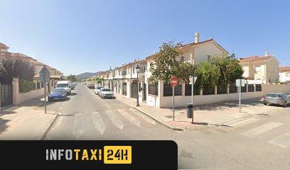 taxista Taxibusronda