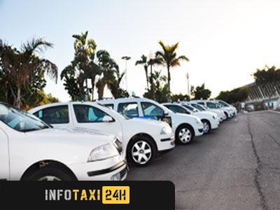 taxista Taxidrivertenerife