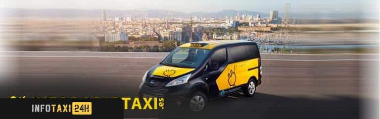 taxista Taxielèctric cat