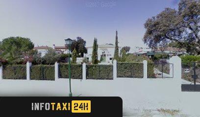 taxista Taxigerena