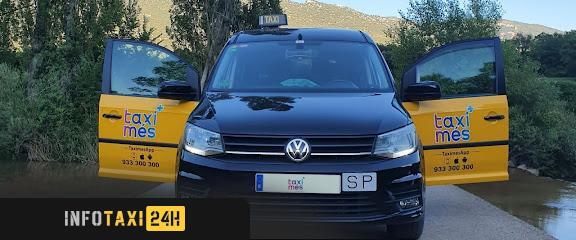 taxista Taximes