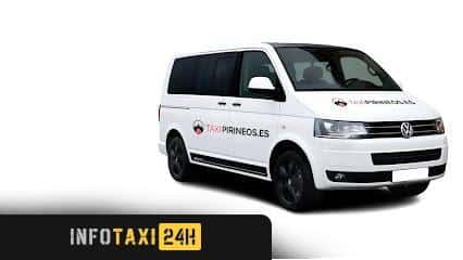 taxista Taxipirineos
