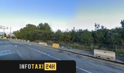 taxista Taxis A Caballero