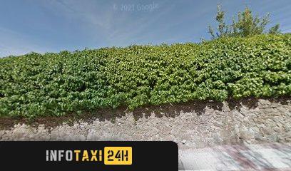 taxista Taxis Antonio Botón
