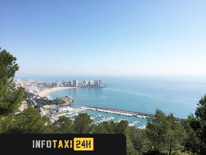 taxista Taxis Bielsa Oropesa Del Mar Hasta 9 Plazas