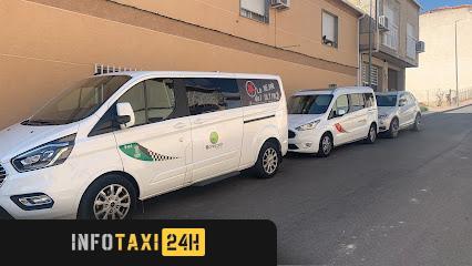 taxista Taxis Ceuti