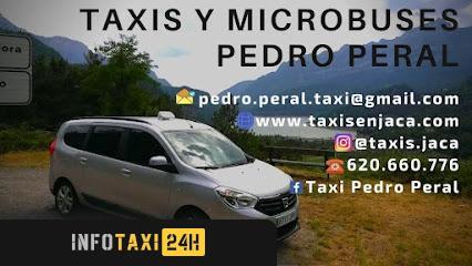 taxista Taxis En Jaca Pedro Peral