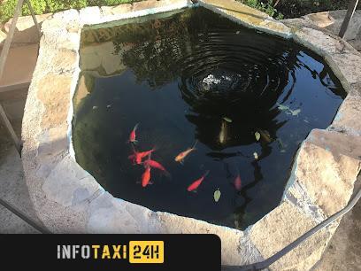 taxista Taxis Joan Valls
