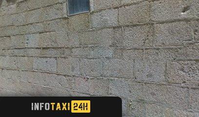 taxista Taxis Leo