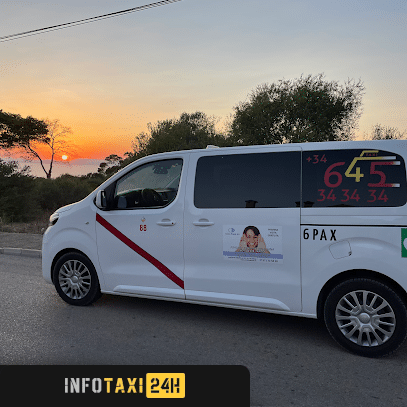 taxista Taxis Llucmajor