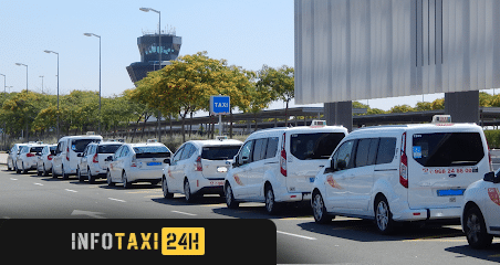 taxista Taxis Murcia