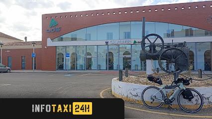 taxista Taxis Renfe Estación