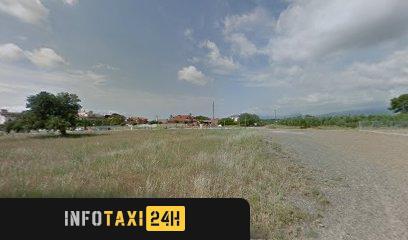 taxista Taxis Vinyols I Els Arcs
