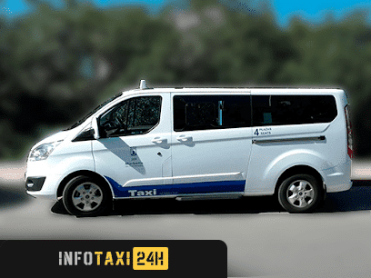 taxista Taxisol Taxi En Marbella San Pedro Alcántara Nueva Andalucia Elviria