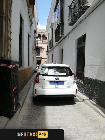 taxista Taxista Sevilla