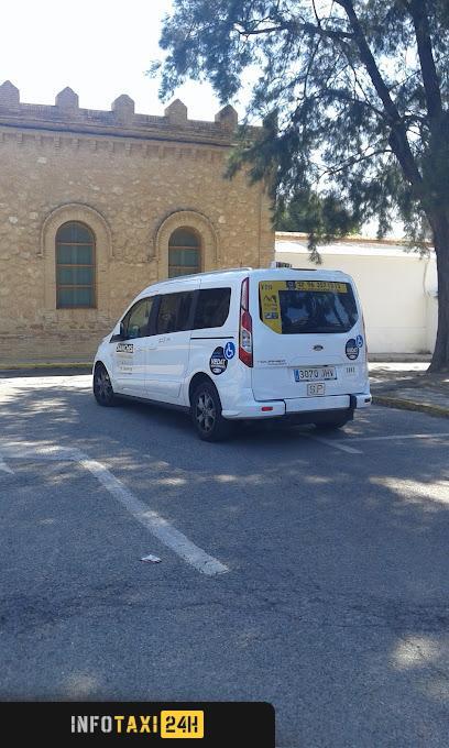 taxista Teletaxi Valencia