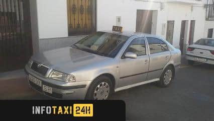 taxista Transportes El Porrejon