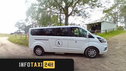 taxista Turitaxi Cuideiru