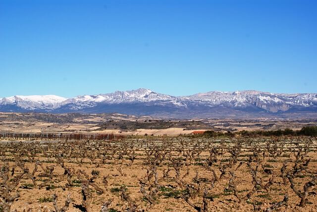 Taxi La Rioja